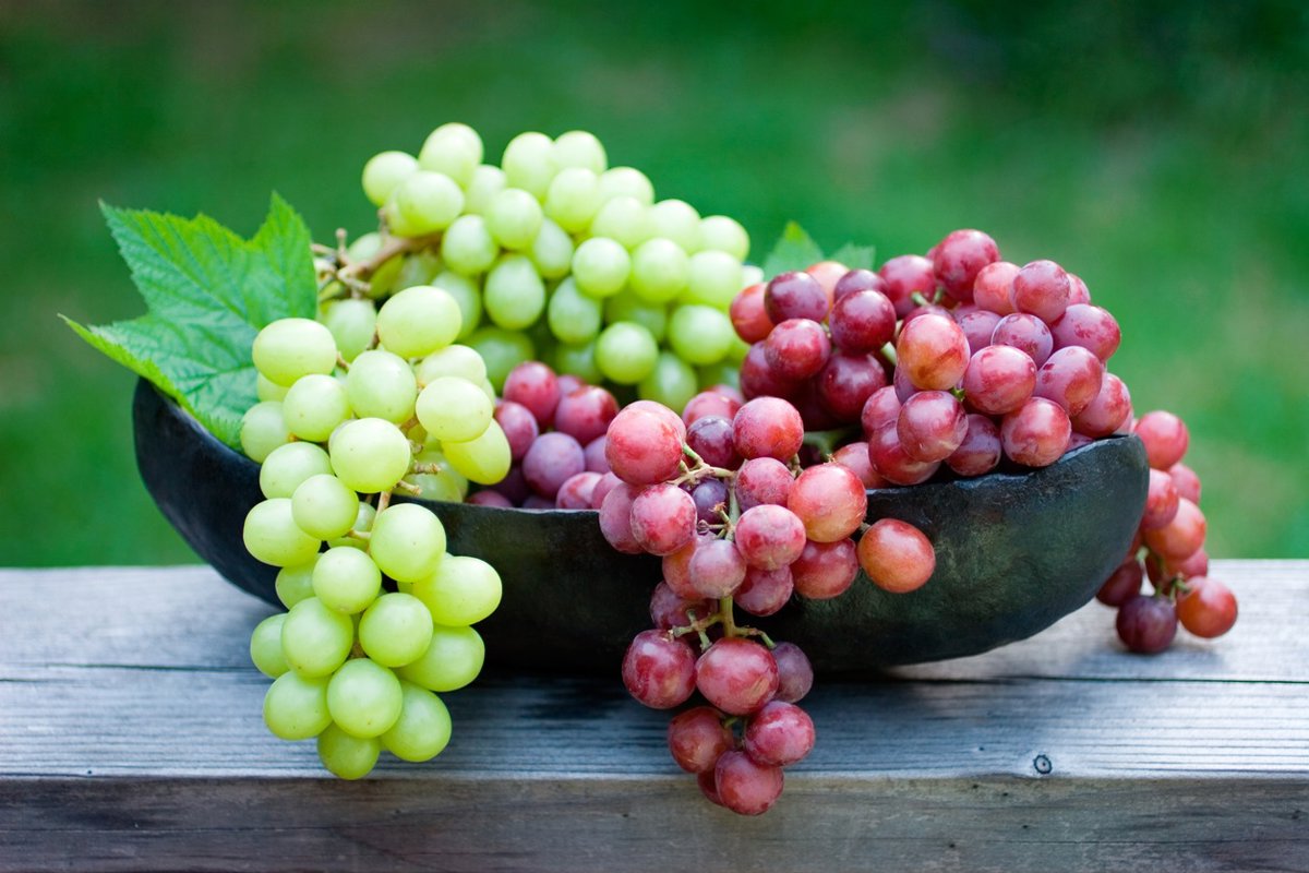 Uvas: compuestos que favorecen corazón, cerebro y sistema digestivo