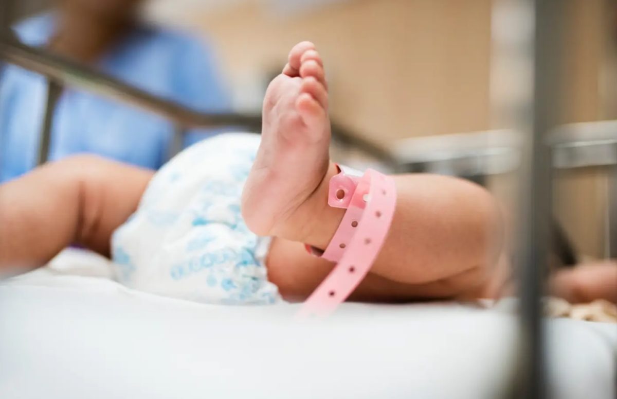 La tasa de natalidad cayó un 40% en Argentina y los hogares sin hijos superan a los tradicionales