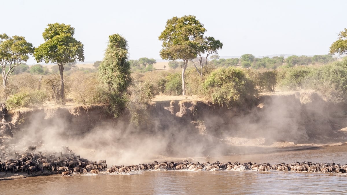 Tanzania en tres actos: la sabana, el cráter y las comunidades que todavía hablan con la tierra
