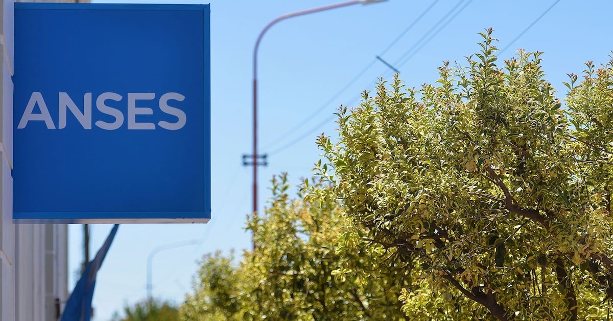 Calendario de pagos de ANSES para DNI terminado en 2 en octubre: fechas, montos y lo que cambia con la movilidad del 1,66%