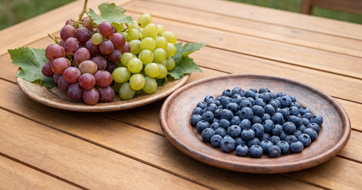 Arándanos o uvas: la fibra marca el pulso del azúcar en sangre y la diferencia no es menor