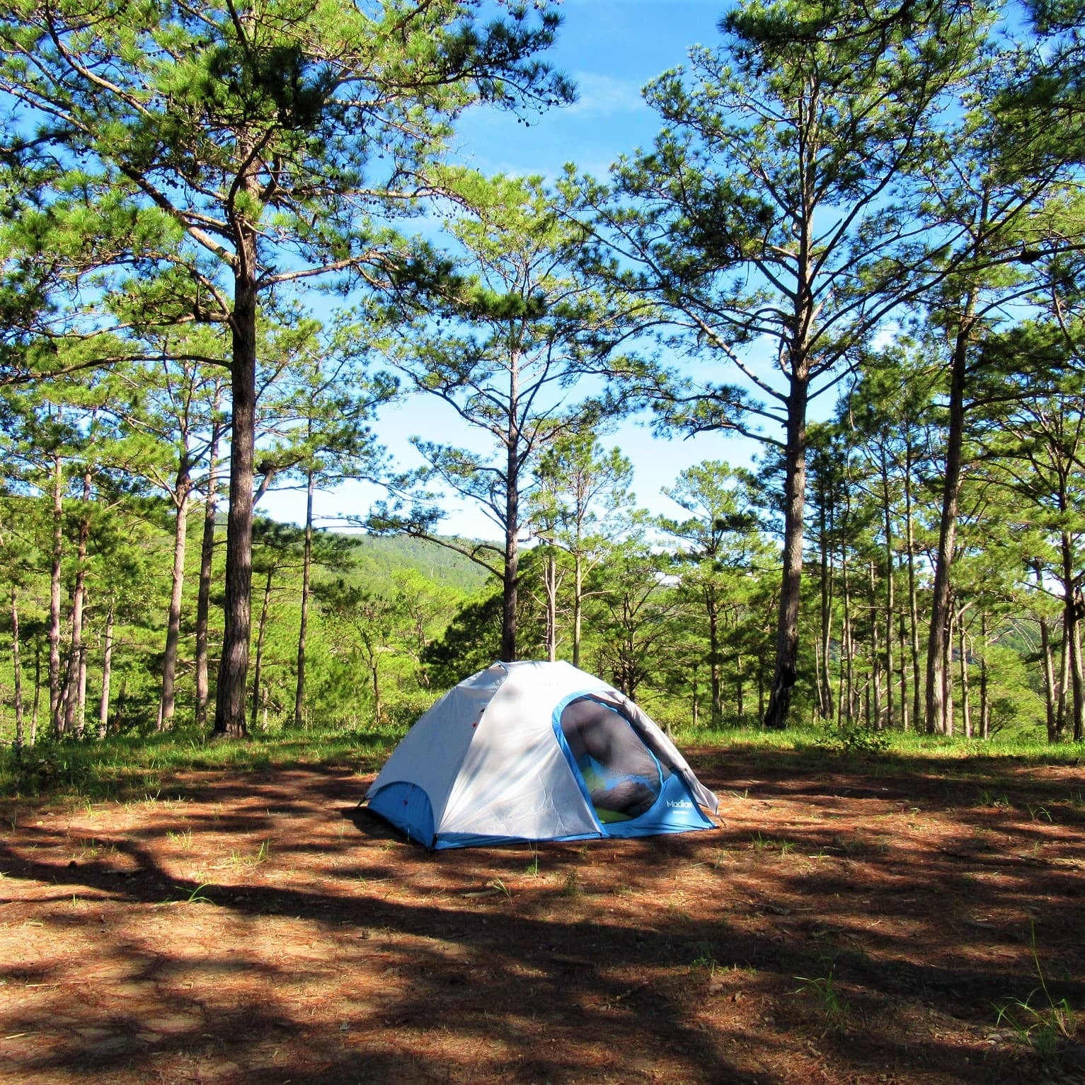 Mar Azul recibe al primer Huttopia de Sudamérica: carpas equipadas en medio del bosque de pinos, a partir de 36.000 pesos la noche