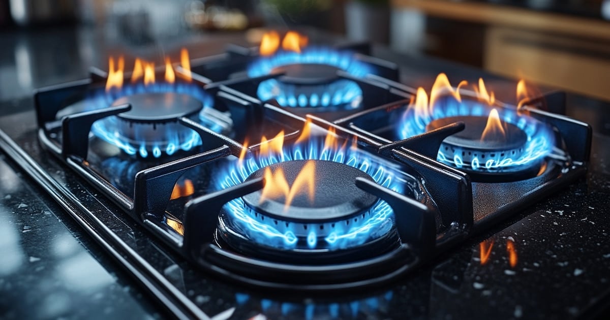 El recorte del subsidio al gas alcanza a 3,35 millones de hogares en cuatro provincias